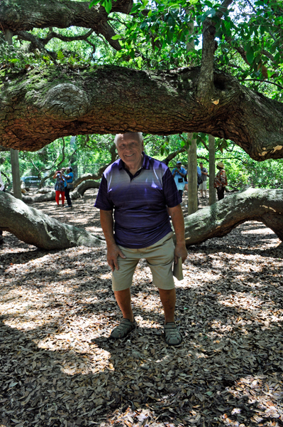 Lee Duquette under a branch of the Angel Oak tree